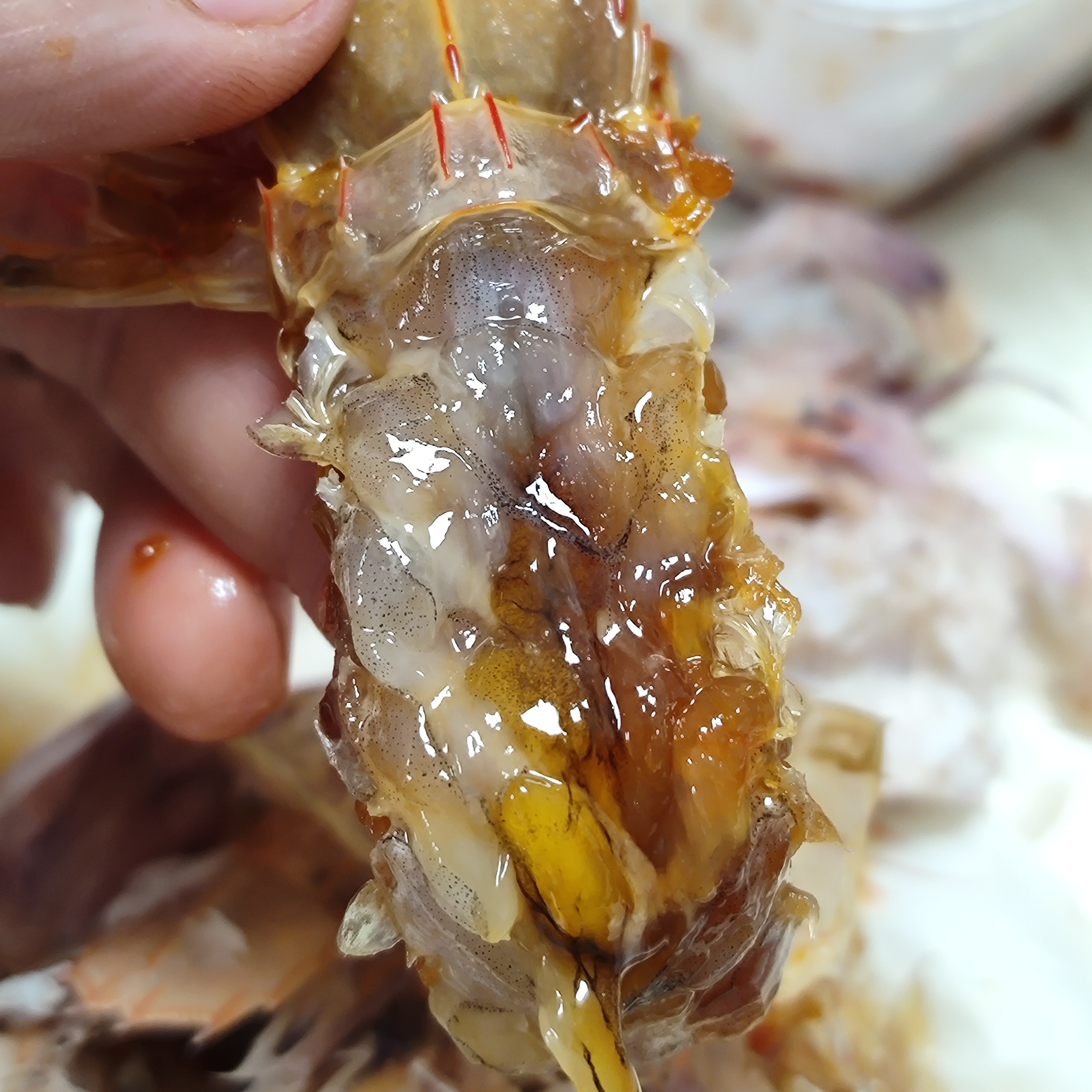 野生鲜活腌制带膏带黄全母皮皮虾酱香红心虾姑包邮