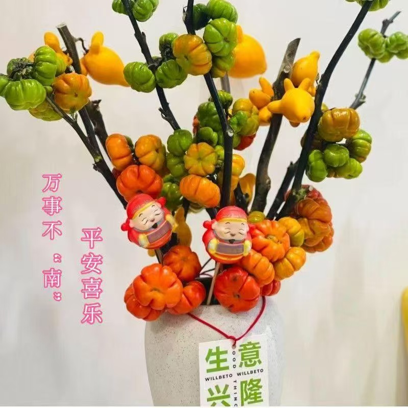 【挂果客厅】小南瓜南瓜花鲜切花真花室内花束绿植鲜花盆栽插花摆件