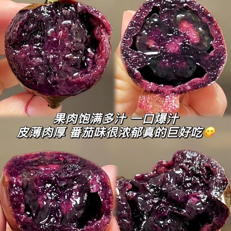 山东寿光花青素黑玫瑰小番茄黑紫色圣女果新鲜水果即食柿子生鲜