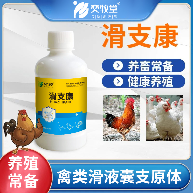 z鸡鸭鹅家禽滑支康畜牧添加剂站不起来