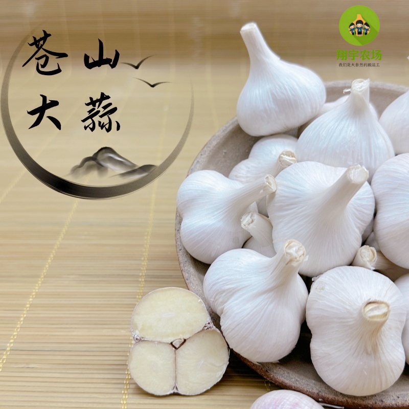 2025年苍山大蒜两三瓣大蒜头干蒜白皮新蒜香辣脆粘蒜香1斤3斤5斤