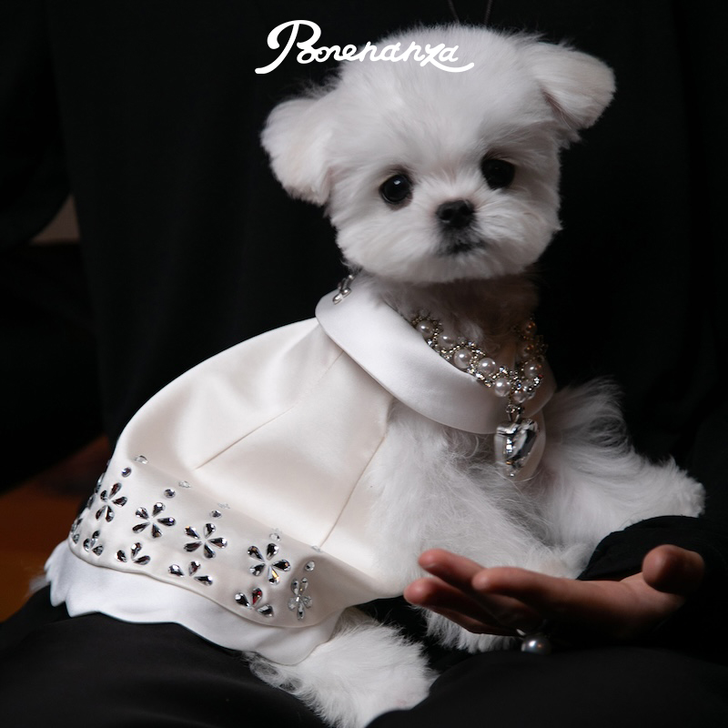 Bonennaza｜Dating滴答夜莺烫钻连衣裙