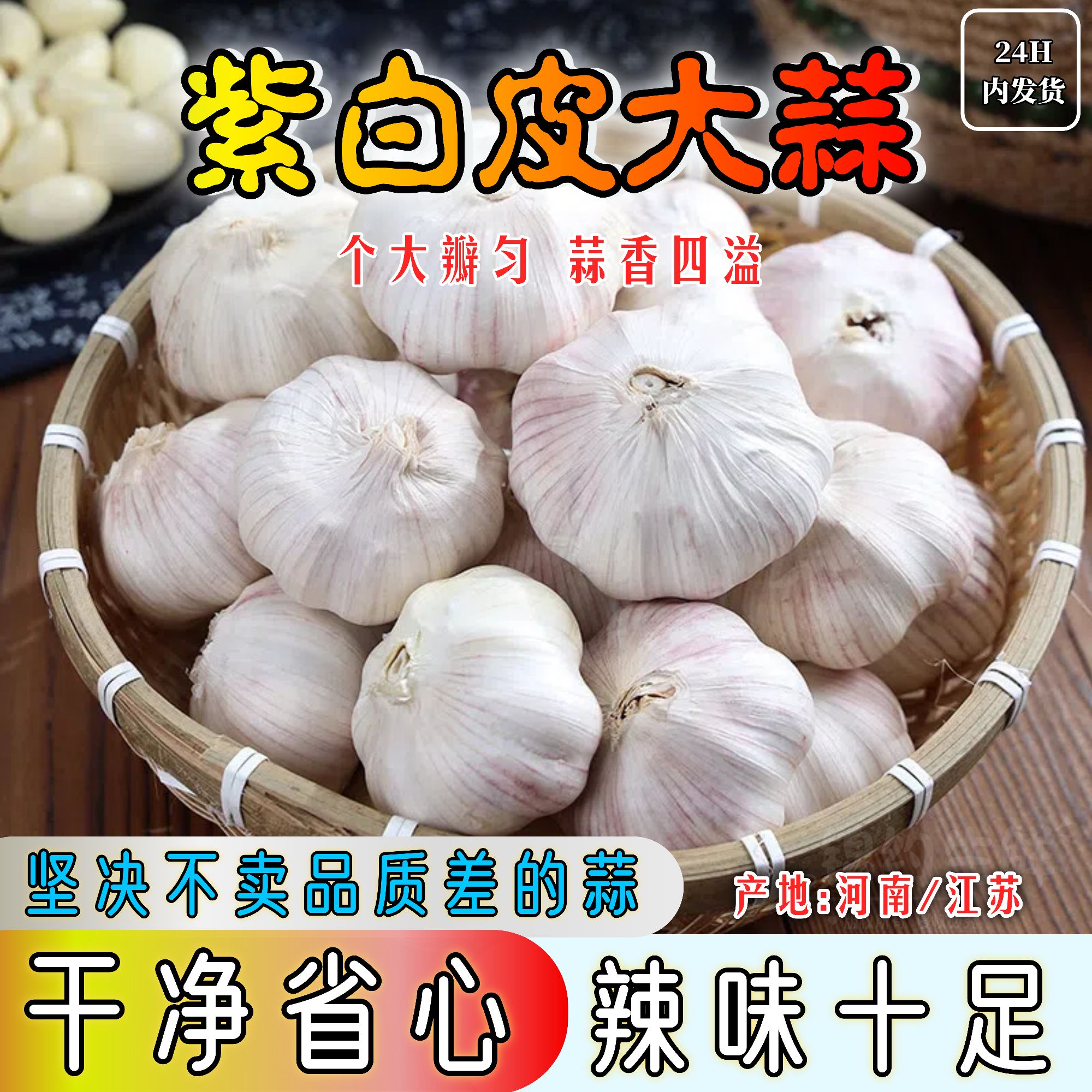 【江苏大蒜】可吃可种新鲜晒干干蒜蒜香味十足优质紫白皮大蒜