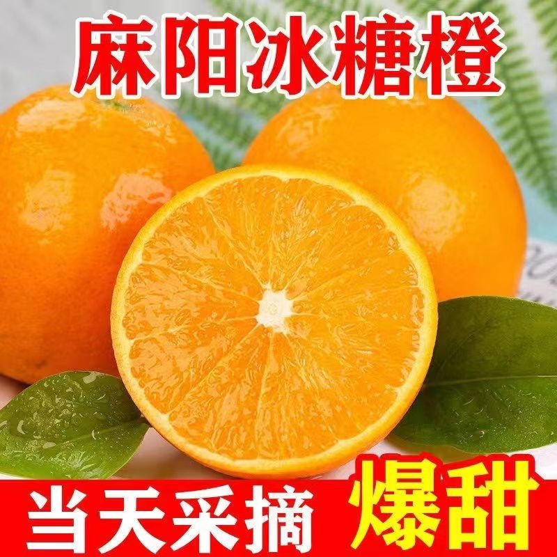 【现摘现发】湖南麻阳冰糖橙水果当季新鲜现摘纯甜多汁橙子整箱包邮