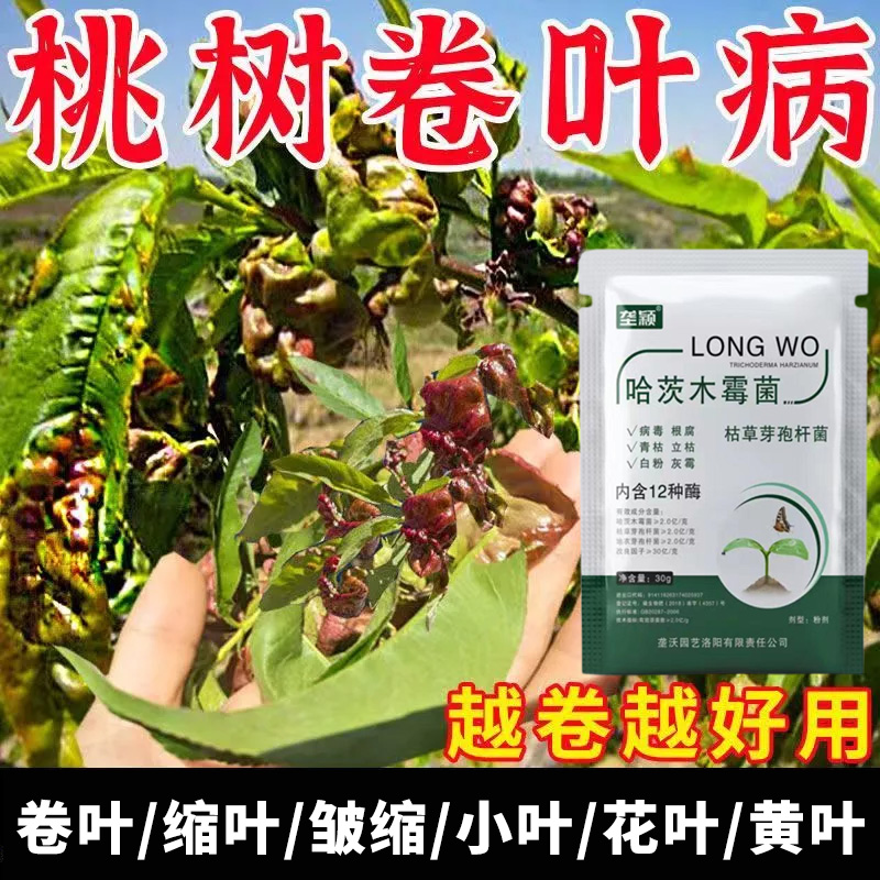 桃树卷叶缩叶黄叶专用肥料桃叶皱缩变红脱落细菌性穿孔微生物菌剂