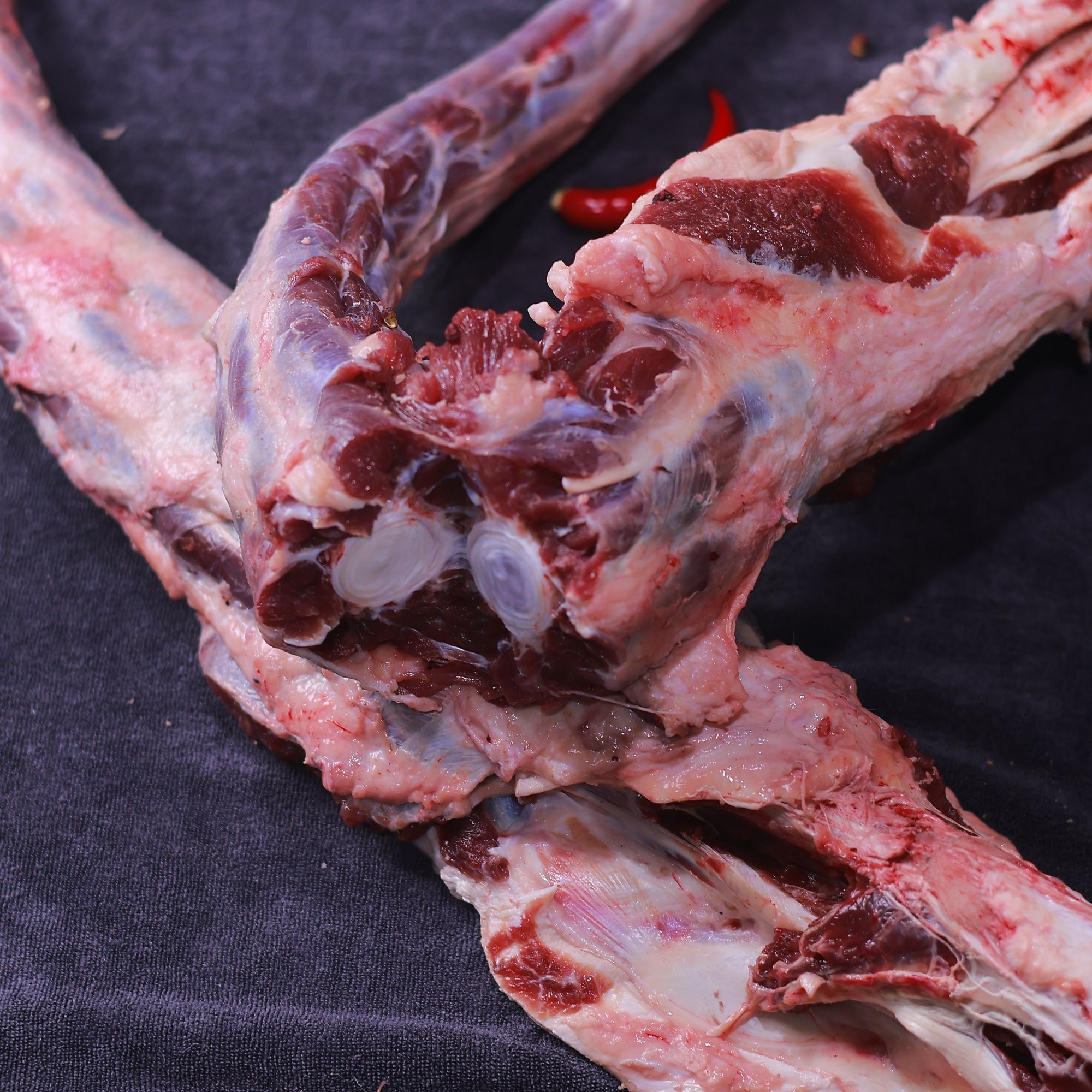 雪之源【带大骨牛尾】新鲜鲜切 红烧 清炖 卤 源头工厂直售