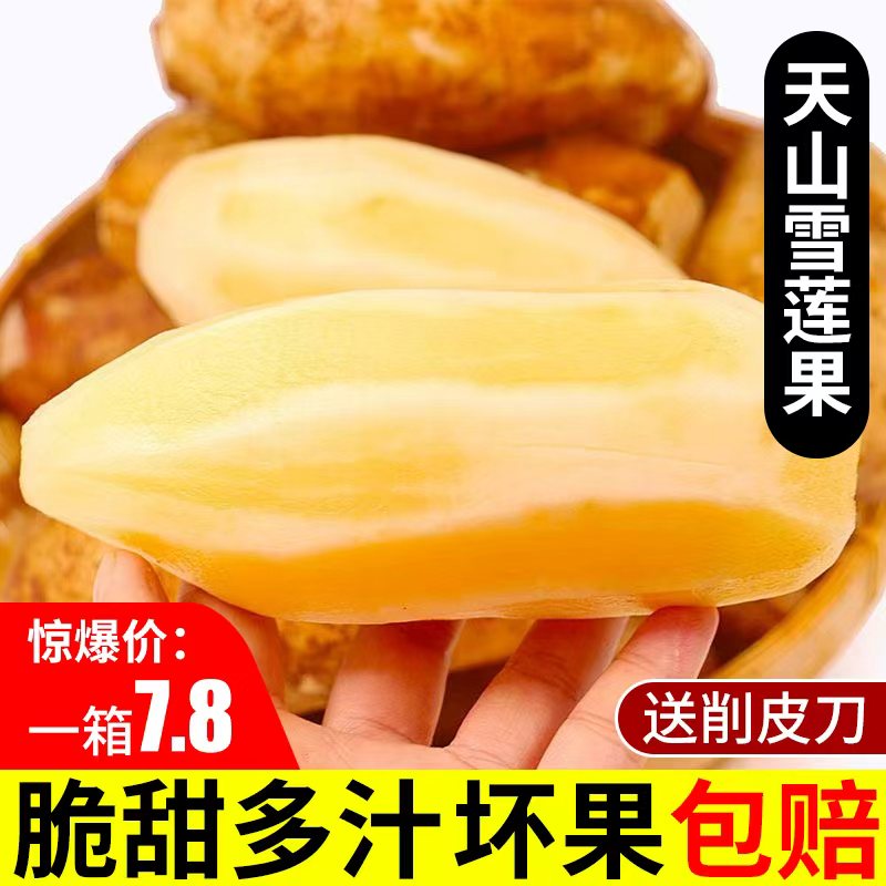 【现挖现发】云南红心天山雪莲果黄心清甜多汁气柱产地直发坏果包赔