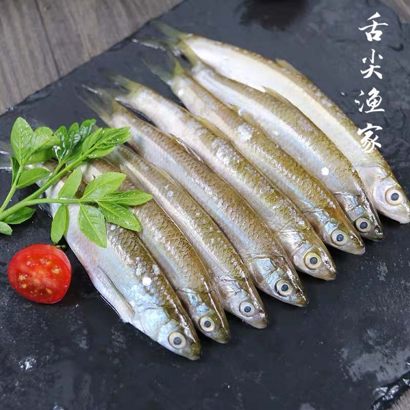 【臻品舌尖渔家】内蒙华子鱼2.5KG（礼盒款）冷水鱼产地直发营养美味