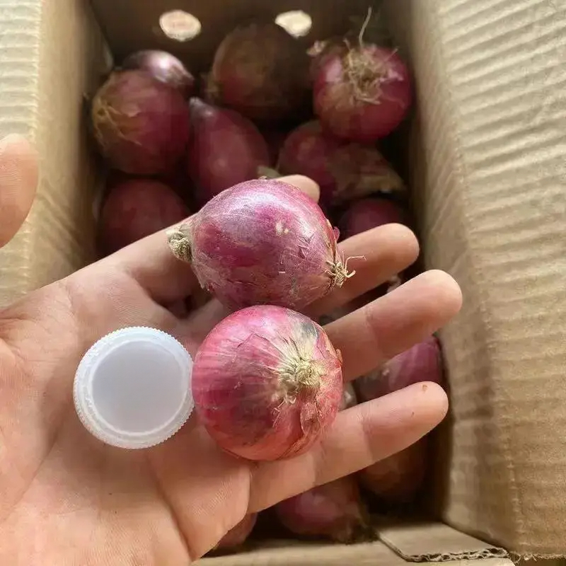 紫红色小洋葱好吃不贵经济实惠可以生吃凉拌洋葱