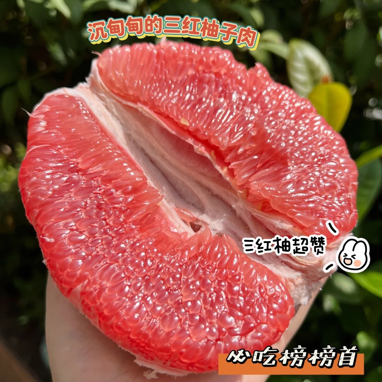 福建平和琯溪三红蜜柚红心柚新鲜水果当季应季现摘现发