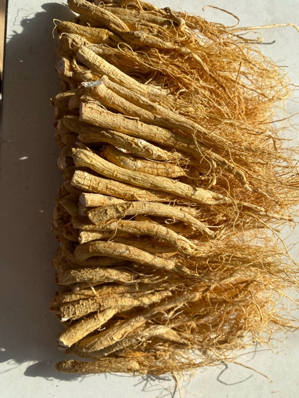 ZOCI长白山人参丁须优质品质精挑货无磺正宗东北人参滋补产地直销