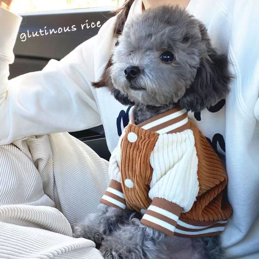 秋冬装韩版棒球服夹克泰迪小型犬宠物猫咪保暖衣ins风网红款狗狗