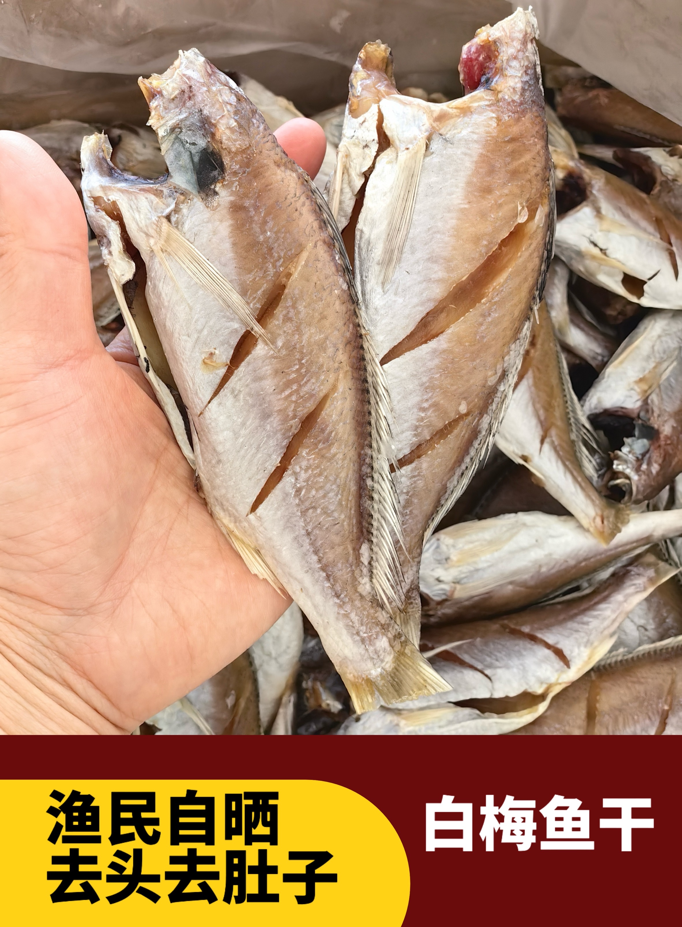 温州特产白梅鱼半干货去头淡晒咸香美味咸淡500g