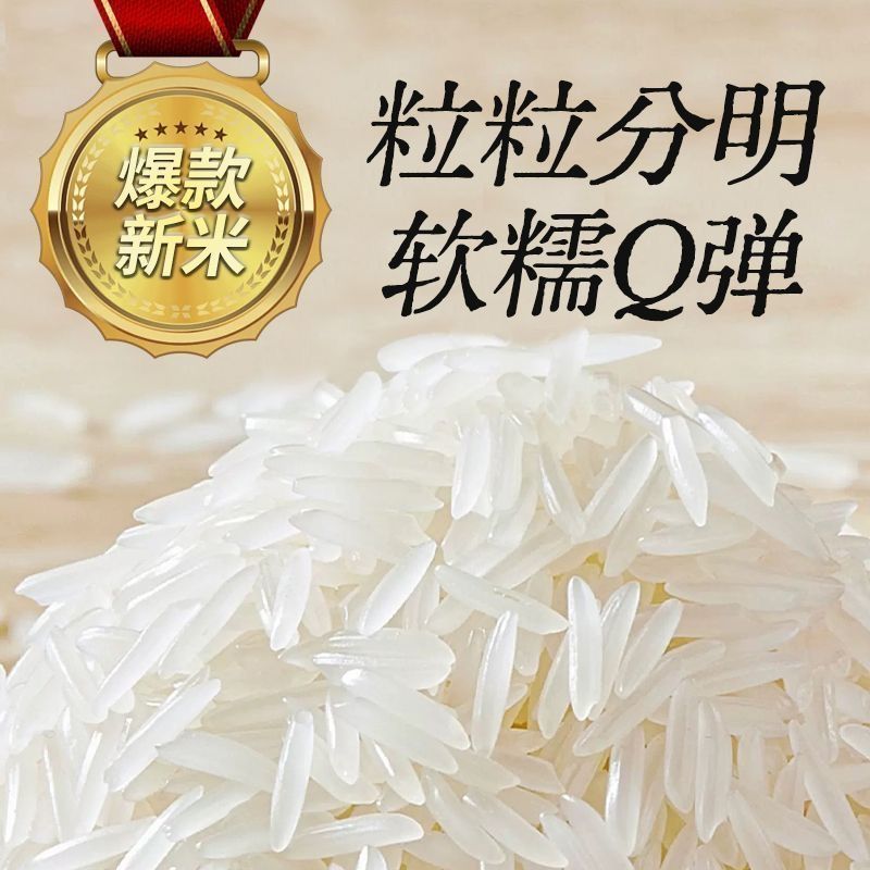 【活动中】正宗长粒香米猫牙米丝苗米虾稻米新鲜软糯炒饭蛋炒饭大米