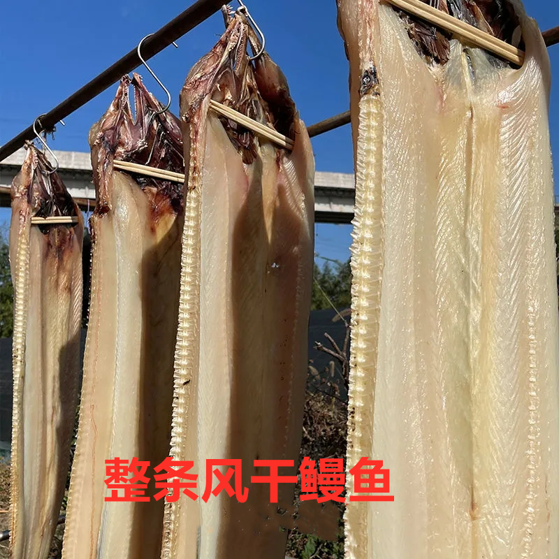 东海风干鳗鱼深海鳗鱼干整条大鳗鲞海鳗鱼咸鱼本地风鳗2500克清蒸