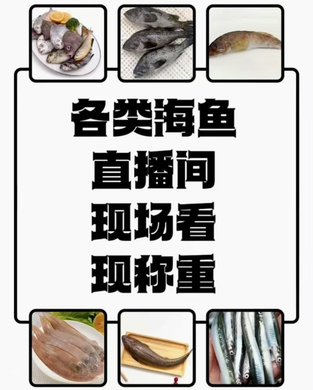现场直播为准（鱼）新品替换链接  谨慎下单 既拍不退