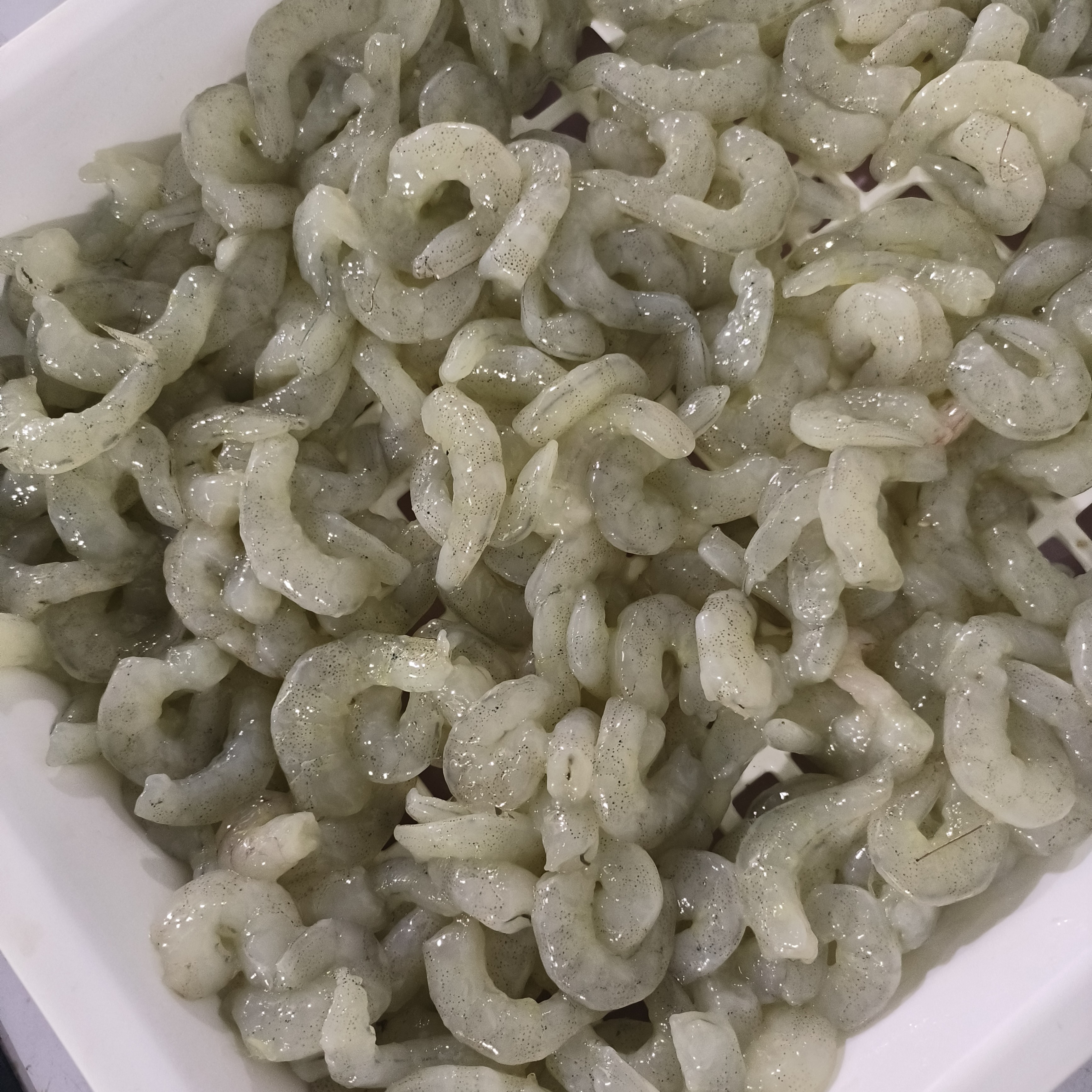 渔樂记忆海钓虾仁虾肉黑鱼黄鱼鱼饵矶钓抛钓黑鲷鱼鲈鱼非南极虾