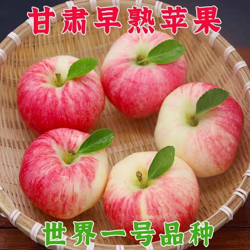 嘎啦苹果2025正宗甘肃天水苹果世界一号新鲜脆甜苹果现摘现发包邮