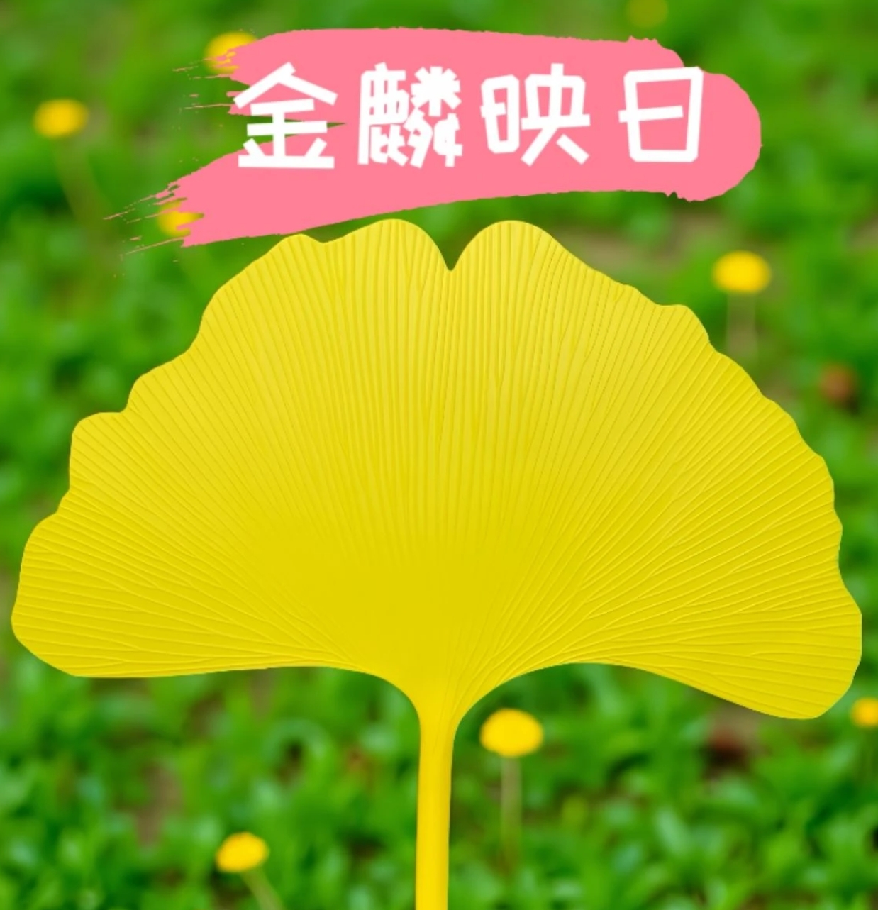 【有杏扇】扇子夏天凉快耐用大号加厚银杏叶扇子防摔手摇扇文艺风