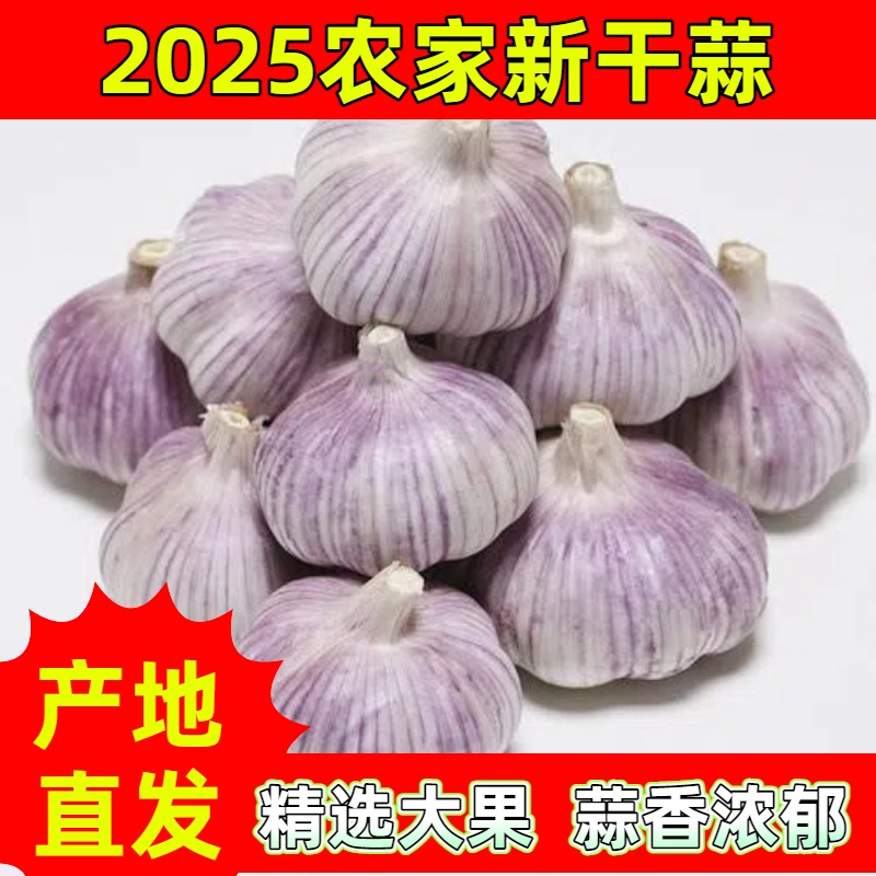 【农家干大蒜】大蒜3斤（大果）紫白皮大蒜杞县大蒜农家大蒜大蒜头