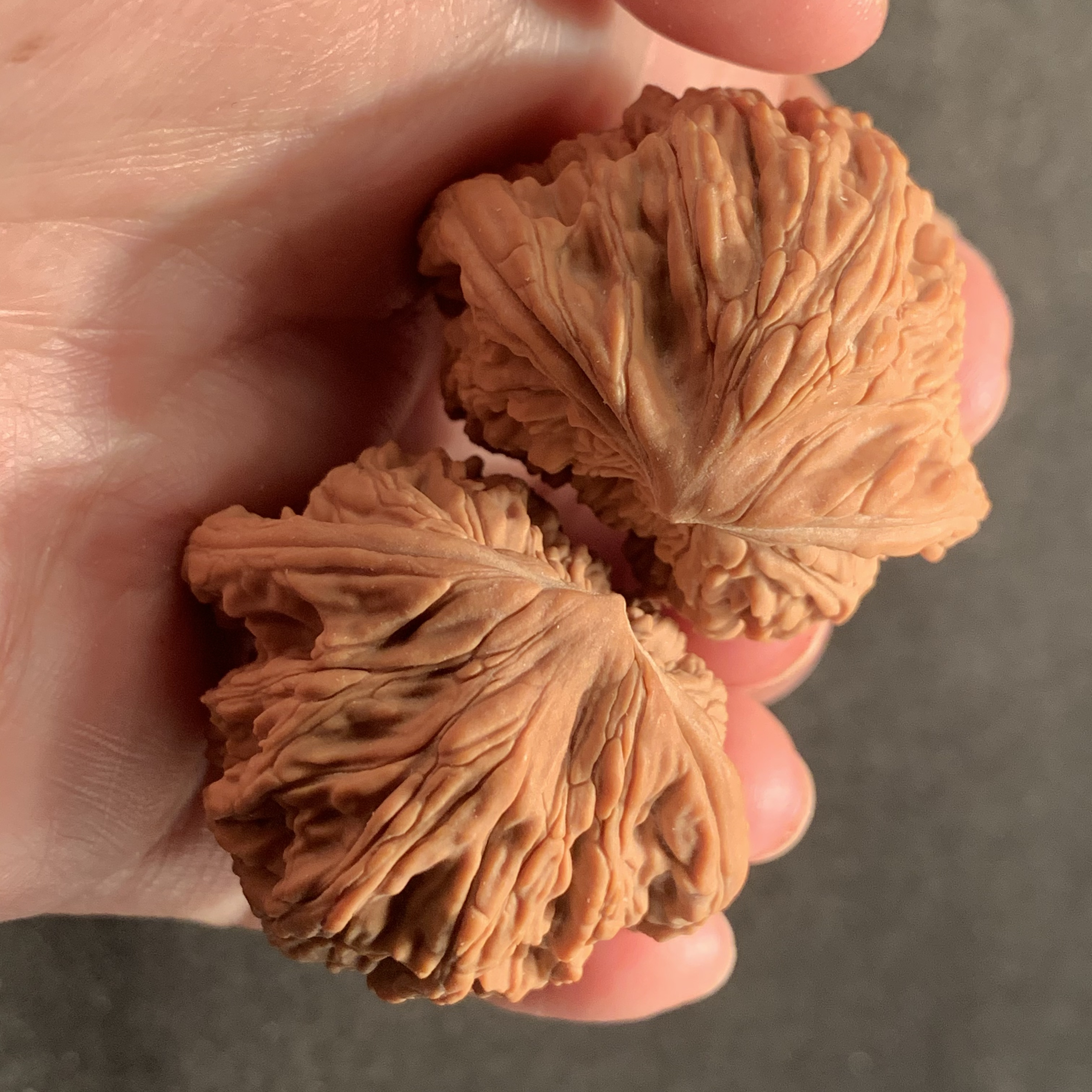 文玩核桃47白狮子闷尖狮子头盘玩手把件