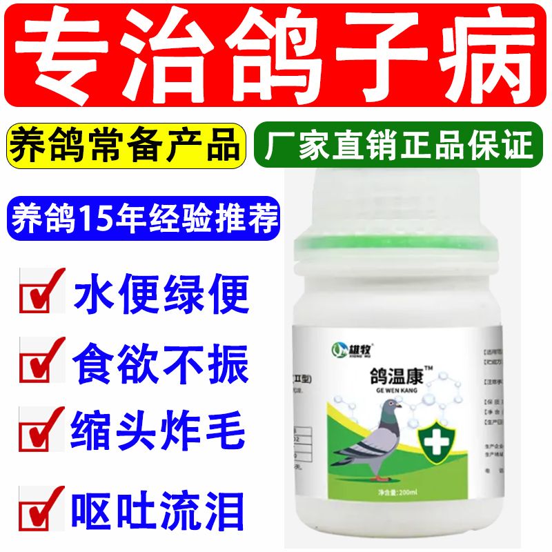 雄牧鸽温康拉稀水炸毛绿便无精神鸽瘟呕吐甩食呆立信鸽肉鸽专用产