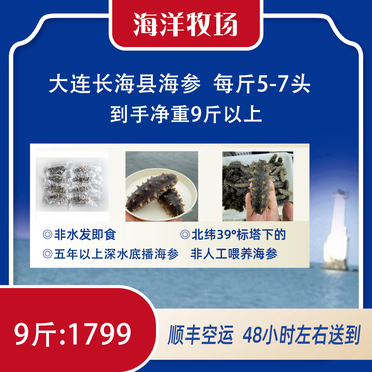 【冷蒸即食海参】大连长海县海参 到手净重9斤 即食海参（5-7头）