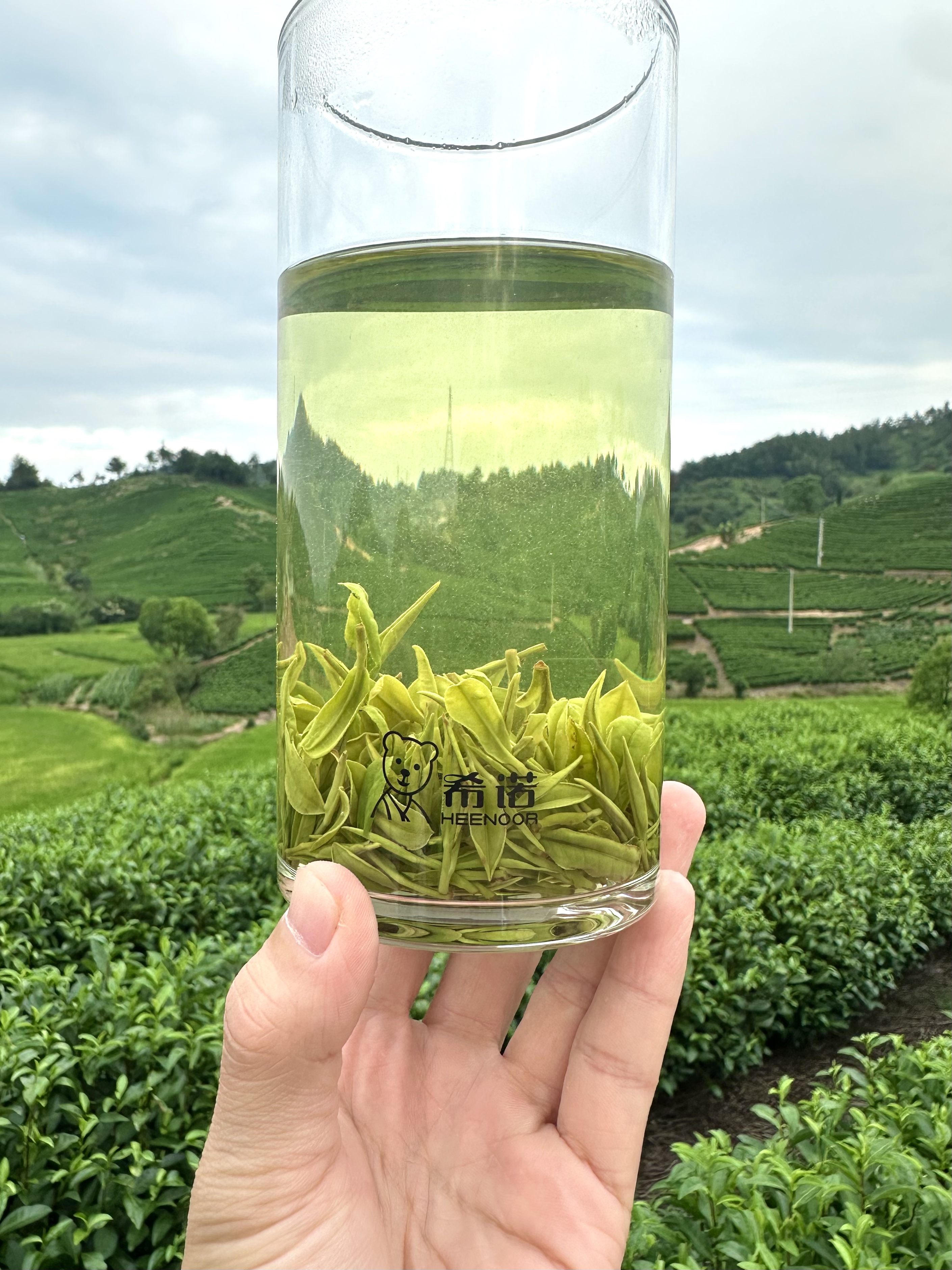 2025年高山安吉白茶春茶特惠浓郁兰花香小芽自喝送礼口齿留香