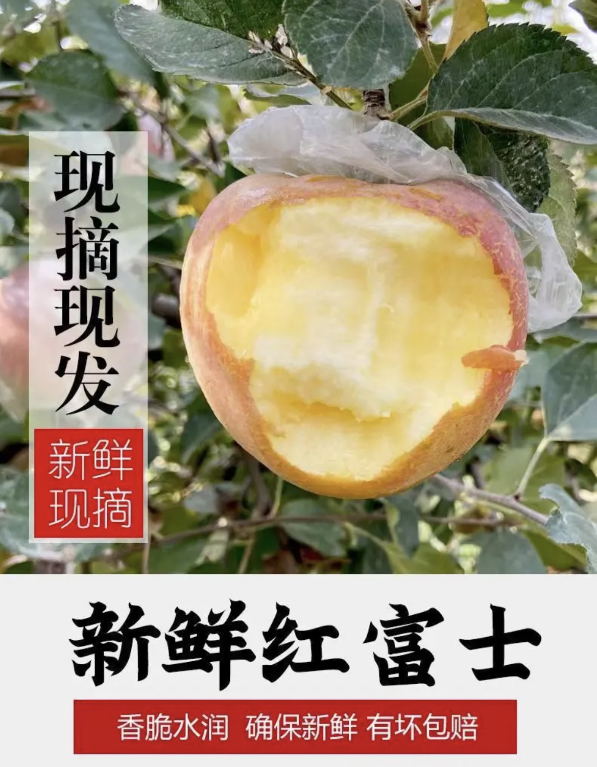 （大乐助农）井陉山地富士苹果