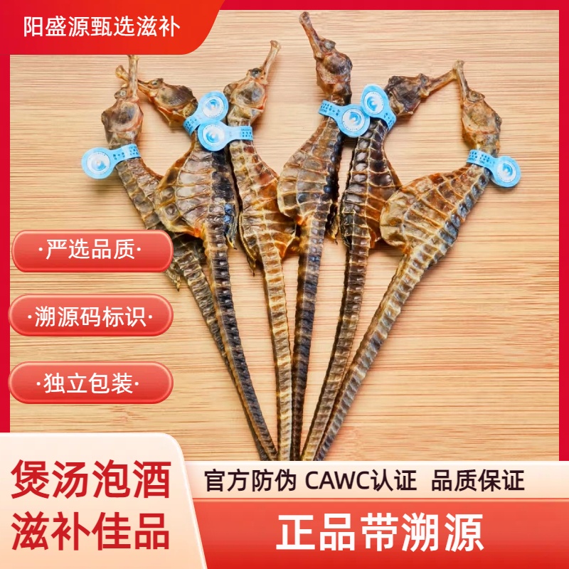 【溯源带蓝标】正品保真煲汤泡酒海马干货新鲜晾晒海龙煲汤泡酒料
