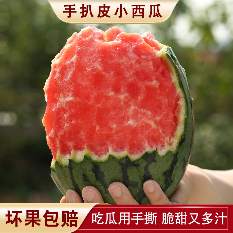 新鲜红瓤薄皮手撕西瓜小糖丸有机脆甜当季新鲜水果