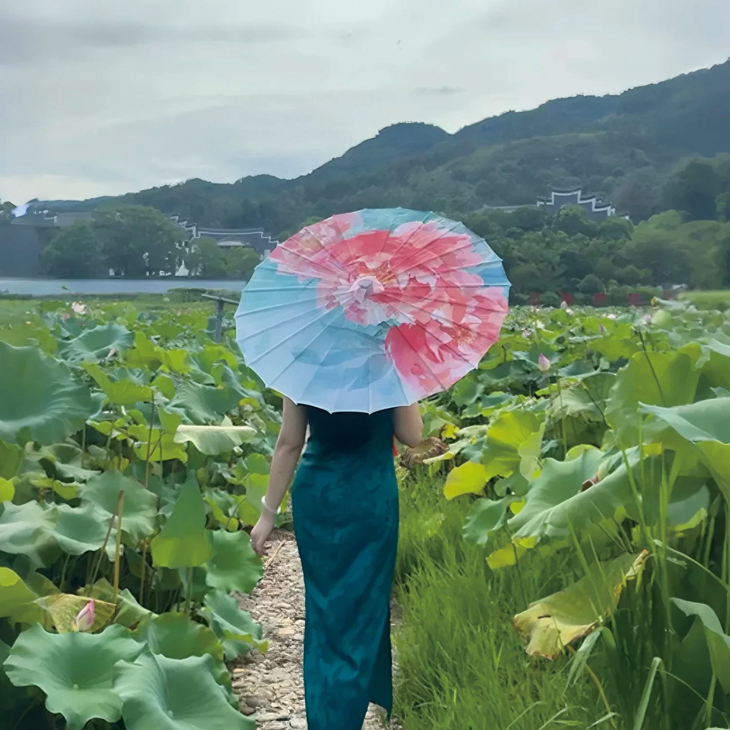 DH-53古风油纸伞中汉服拍摄布景创意国风伞旗袍伞走秀伞