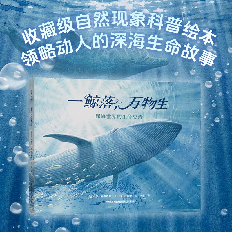 一鲸落，万物生：深海世界的生命史诗
