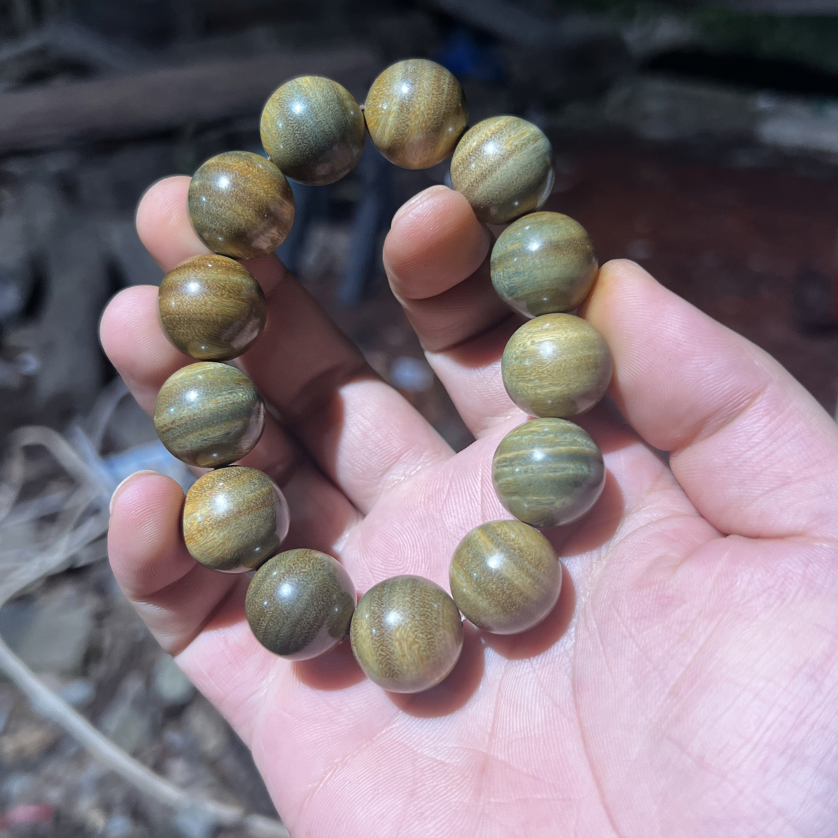 精工高货绿檀横纹1.8单圈