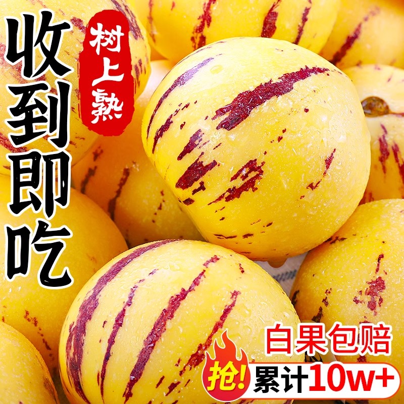 【现摘现发】人参果5斤水果新鲜当季整箱人生果