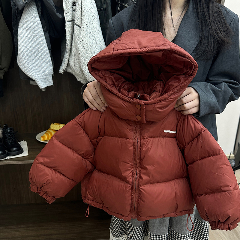 儿童冬季羽绒服2025新款男童洋气加厚90白鸭绒韩版3宝宝保暖外套4