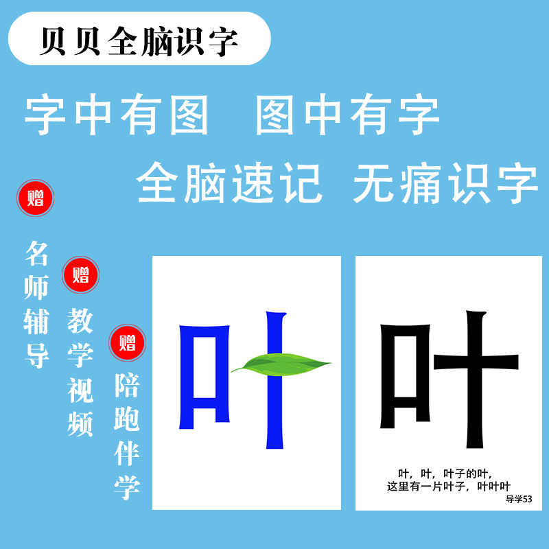 【林鸽老师专属】贝贝全脑识字小卡100字全脑图像记忆字词句三合一