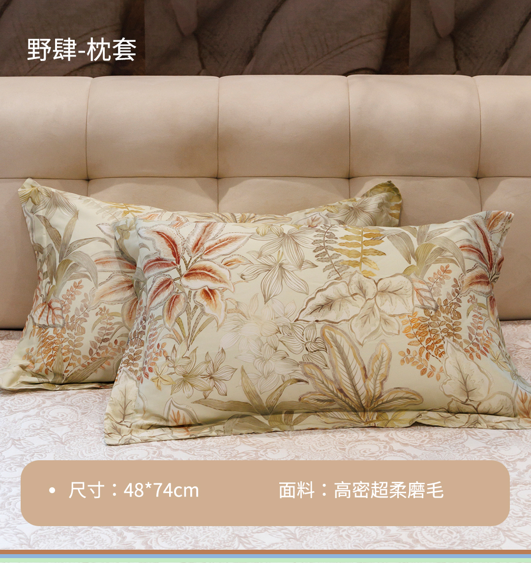 雅赞[春秋被同款枕套】成人枕套简约印花复古欧式美式磨毛轻奢高档