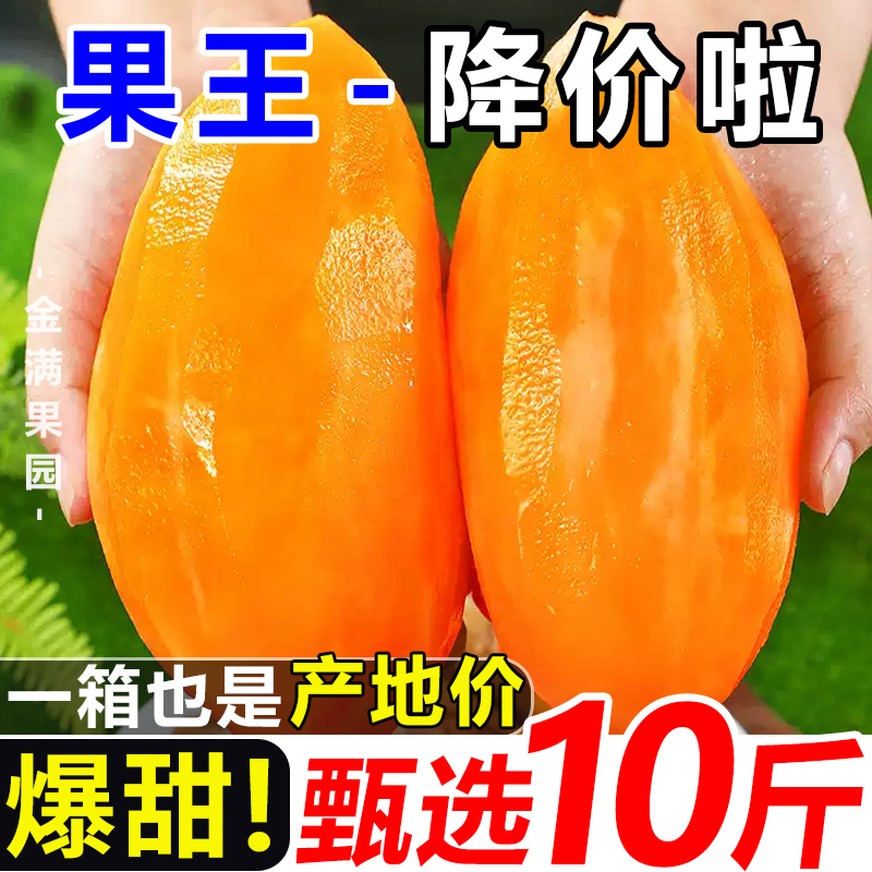 【10斤果王】正宗云南天山雪莲果应季新鲜水果现挖大果黄心清甜