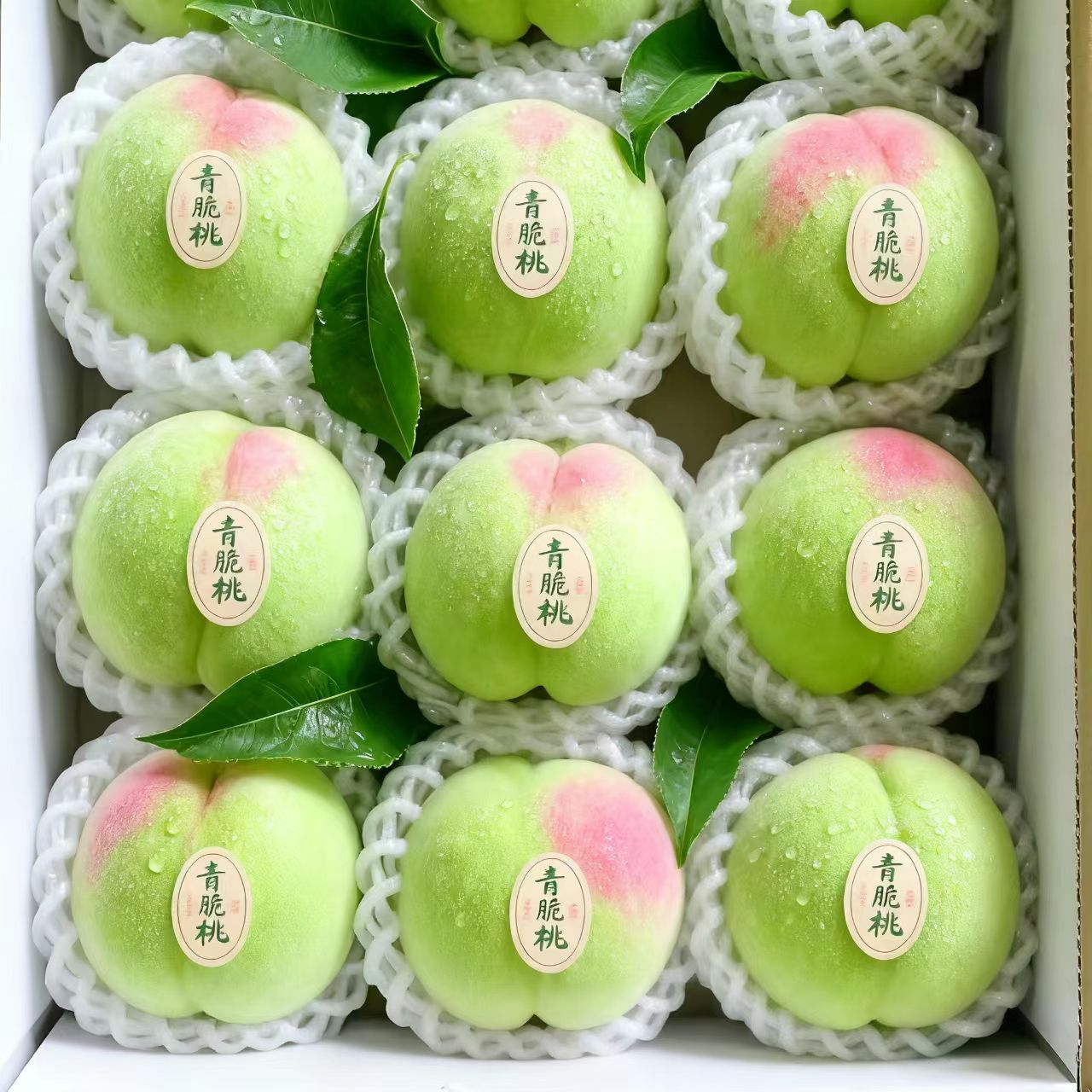 【果园现摘】山东青州蜜桃脆甜多汁当季新鲜水果现摘现发新鲜桃子