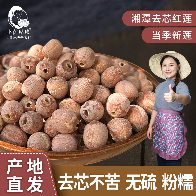 【小茵姑娘】湘潭去芯红莲子500g正宗新鲜莲子2025年新货新鲜莲子