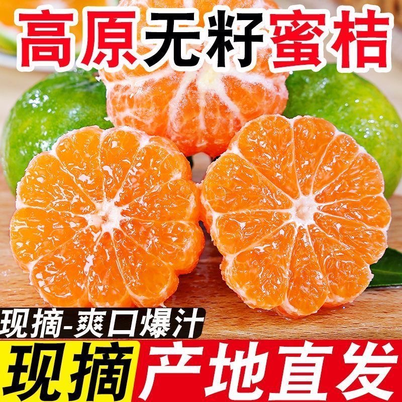现摘云南头茬蜜桔青皮橘子新鲜应季孕妇小孩水果酸甜多汁