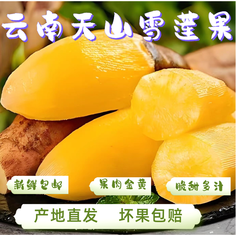 云南天山雪莲果新鲜应季黄心水果脆甜多汁现挖产地包邮