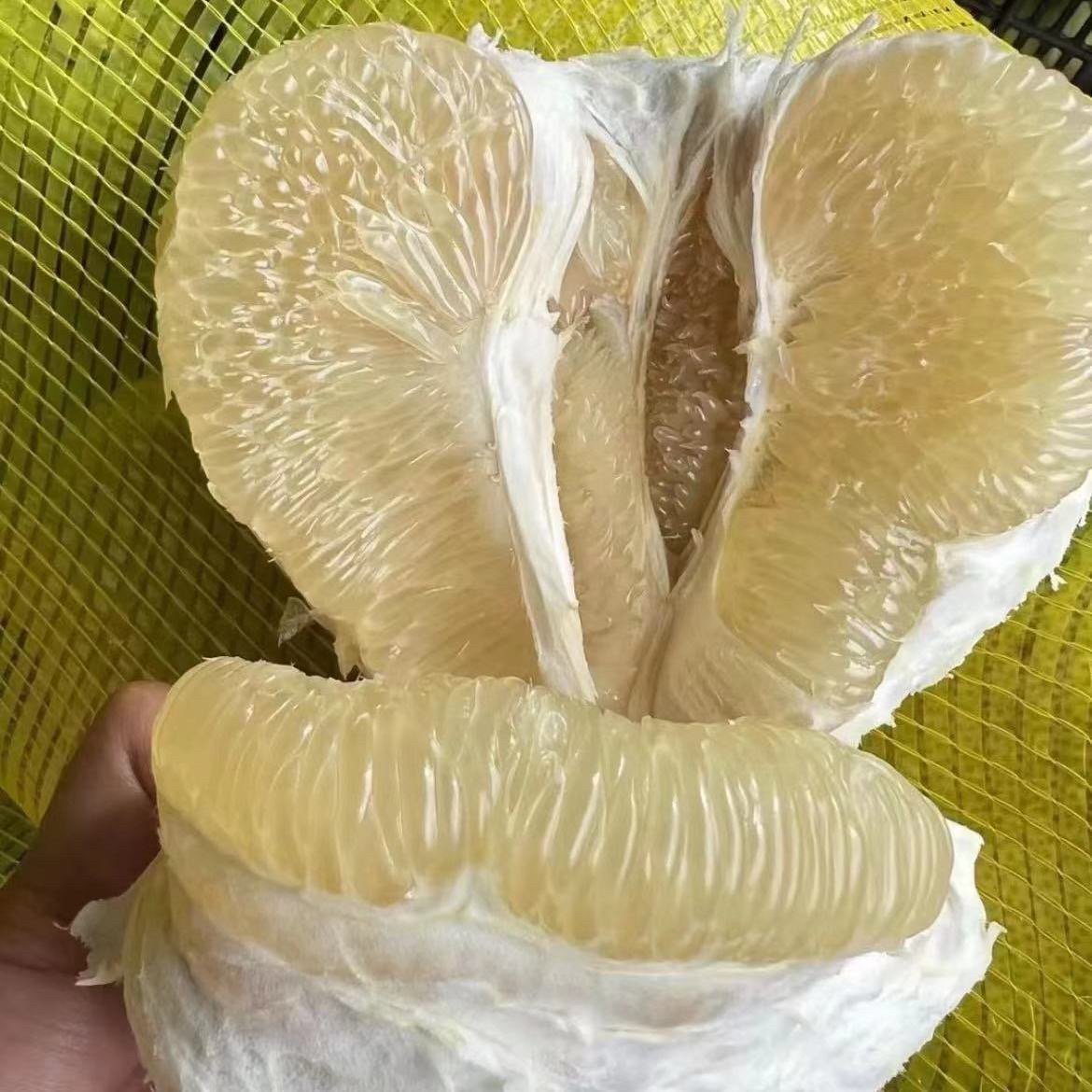 云南西双版纳傣柚新鲜青皮白心多汁皮薄当季水果水果店