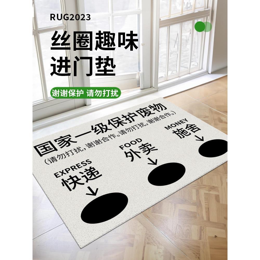一级保护废物地垫丝圈入户门垫进门口防滑蹭脚垫家用玄关地毯