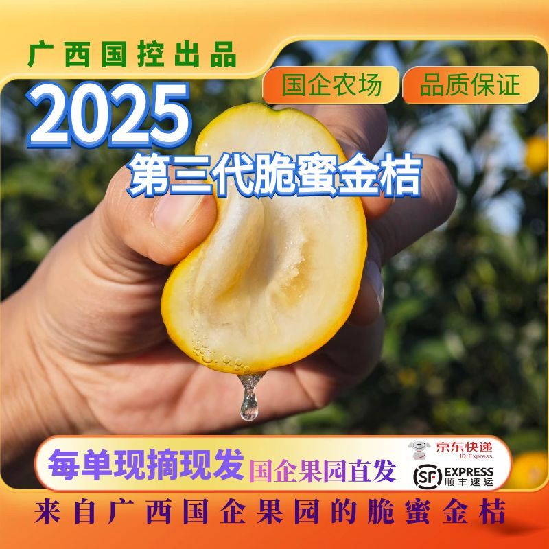 【2025新上市】广西三代脆蜜金桔甄选优质皮薄糖心无核新鲜脆蜜