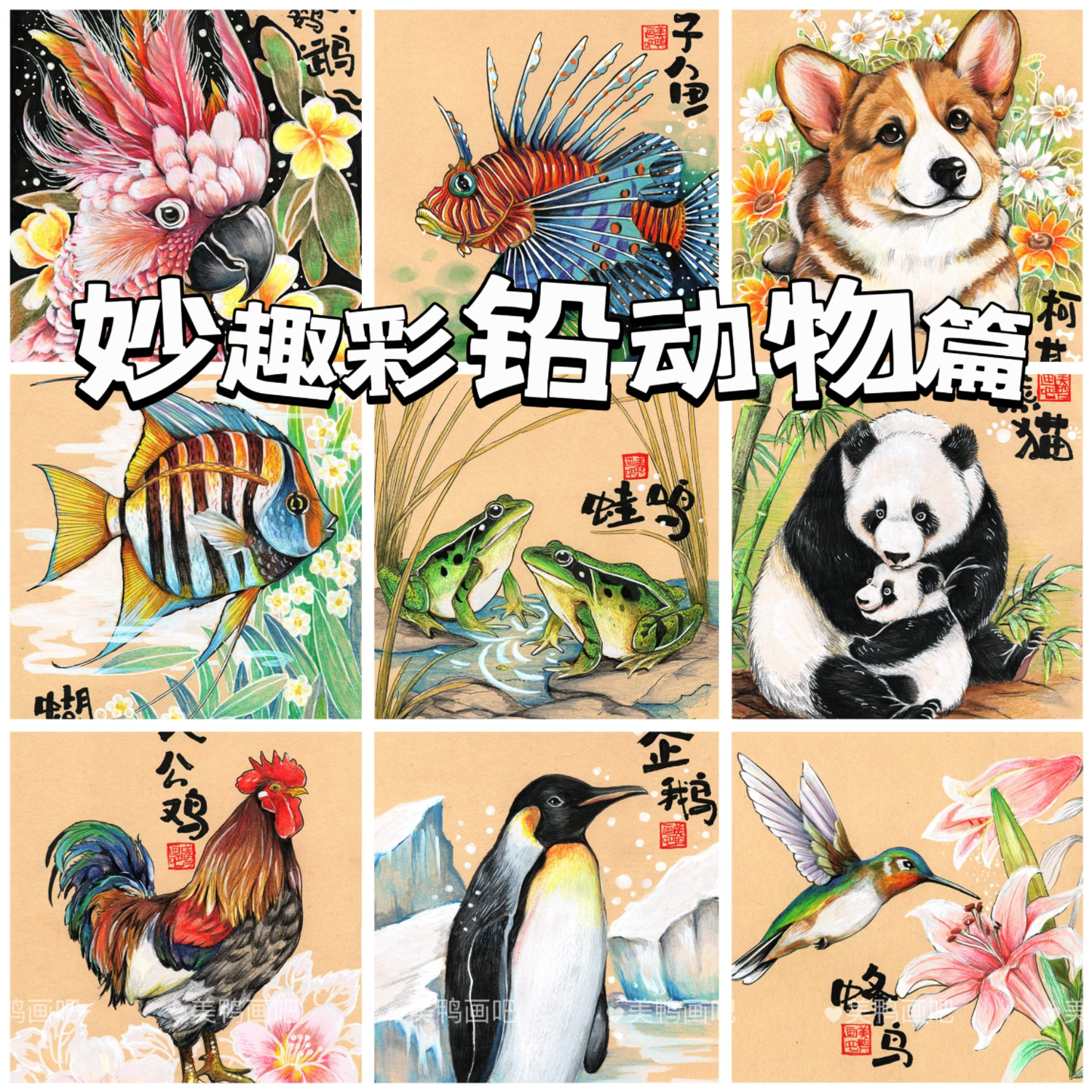 妙趣彩铅动物篇少儿线描系列临摹30张儿童创意美术明信片卡片A5