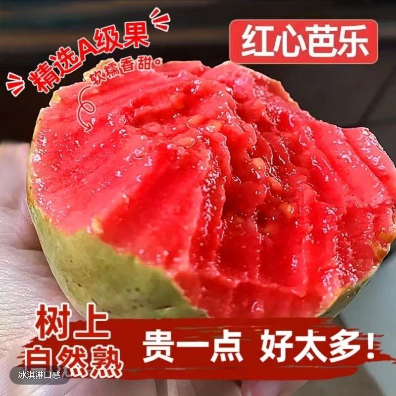 （冰淇淋口感）广西软心红心芭乐白心番石榴新鲜水果净重1斤3斤5斤