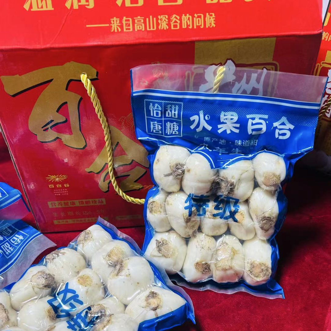 （小果）兰州鲜百合西果园高山甜百合真空礼盒包装