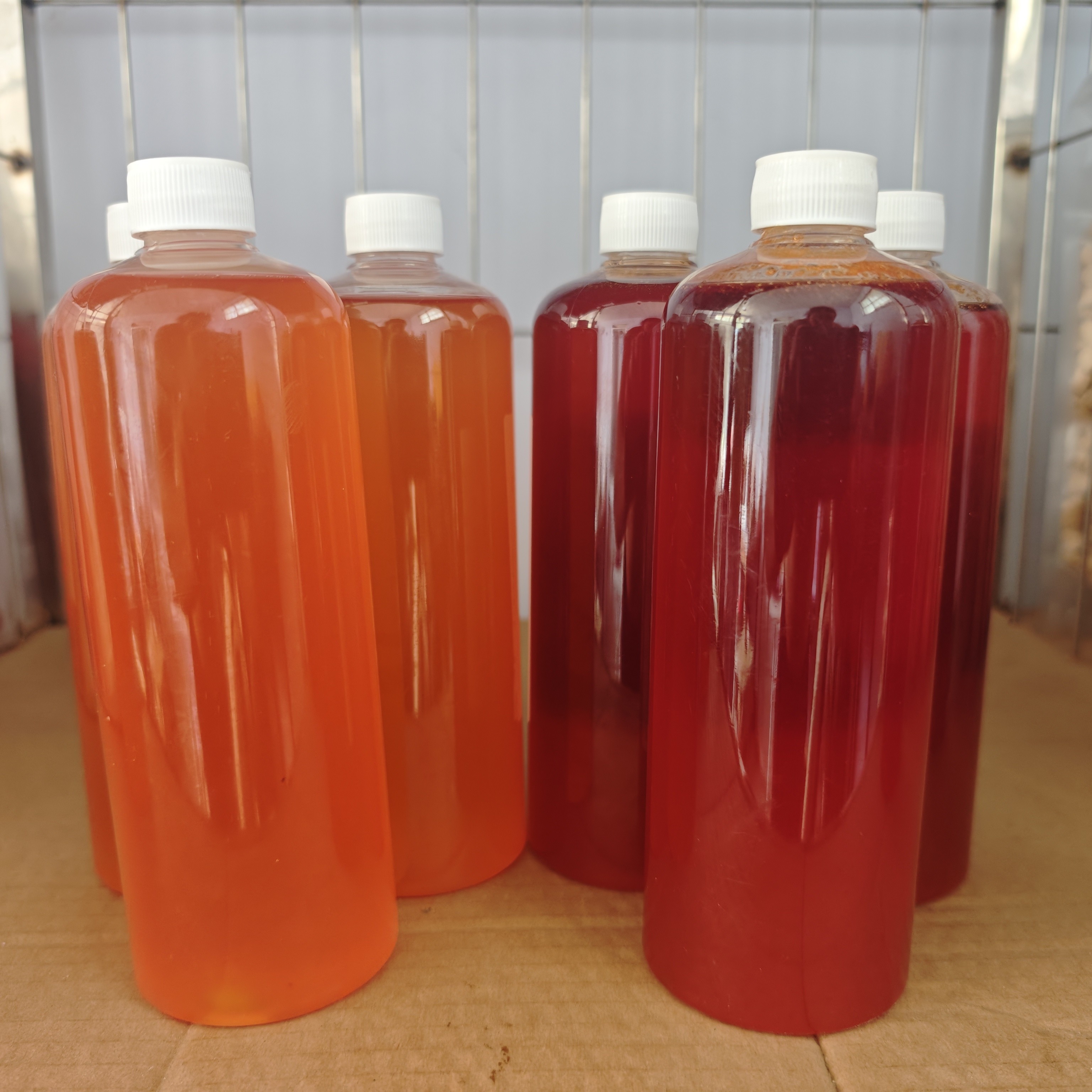 犬知者·猫狗宠物营养补充剂 鳀鱼油，三文鱼油 一瓶500ml